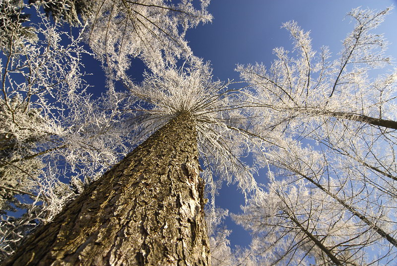 Winter _DDC8553 Kopie.jpg